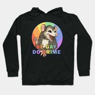 Be Gay Do Crime Hoodie